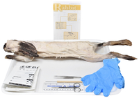 Frey Choice Dissection Kit - Rabbit (DBL) with Dissection Tools, Item Number 2041261