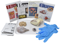 Frey Choice Dissection Kit - Comparative Mammalian Organ Set without Dissection Tools, Item Number 2041265