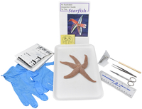 Frey Choice Dissection Kit, Starfish with Dissection Tools, Item Number 2041267