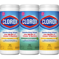 Clorox Bleach Free Disinfecting Wipes, Crisp Lemon and Fresh Scent, 35 Sheets Each, Pack of 3, Item Number 2050028