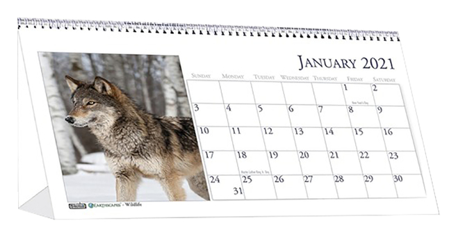House of Doolittle Tent Calendar, Wildlife Photos, Jan-Dec 2021, 4-1/2 x 8-1/2 Inches, Item Number 2050182