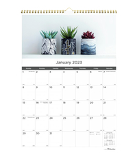 Rediform Succulent Plants Wall Calendar Monthly, Item Number 2050259