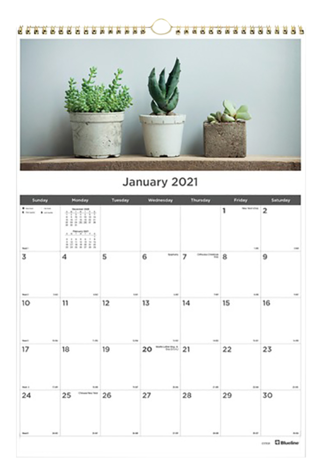 Rediform Succulent Plants Wall Calendar Monthly, Item Number 2050259