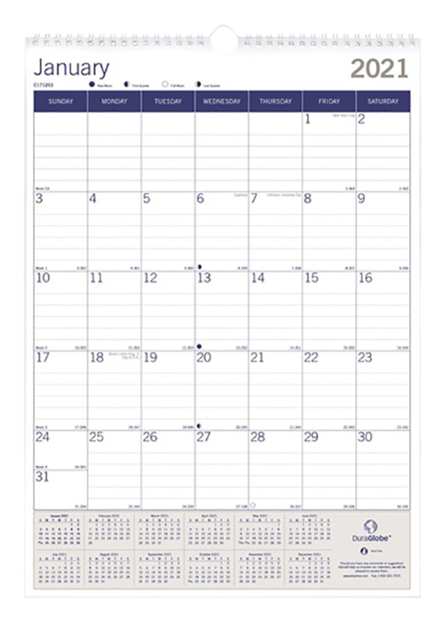 Image for DuraGlobe Wall Calendar from School Specialty