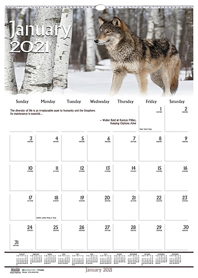 House of Doolittle Earthscapes Wildlife Wall Calendar, Jan-Dec 2021, 16-1/2 x 12 Inches, Item Number 2050422