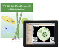 Image for Newpath Learning Protists: Pond Microlife Student Learning Guide with Online Lesson from School Specialty