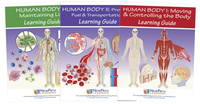 Newpath Learning Systems of the Human Body Student Learning Guides with Online Lessons, Set of 3, Item Number 2087490
