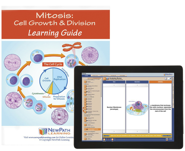 Image for Newpath Learning Mitosis Student Learning Guide with Online Lesson from School Specialty