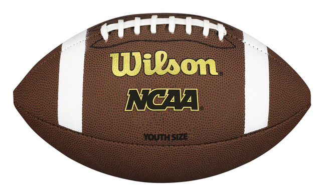 WILSON NCAA TDJ Pattern Composite Football, Junior Size, Item Number 2088452