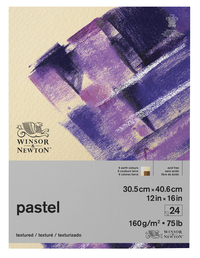 Winsor & Newton Pastel Paper Pad, 12 x 16 Inches, Item Number 2088916