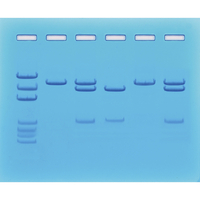 Image for Edvotek Nucleic Acid Testing for COVID-19 from School Specialty