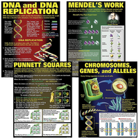 Image for Teacher Created Resources DNA & Heredity 4-Pack Poster Set from School Specialty