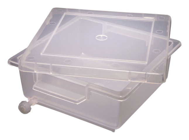 Image for United Scientific Gel Staining Tray from School Specialty