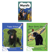 Achieve It! Multipublisher Guided Reading Level G : Variety Pack, Grades 1, Set of 16, Item Number 2097342
