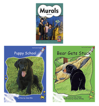Achieve It! Multipublisher Guided Reading Level G : Variety Pack, Grades 1, Set of 16, Item Number 2097342