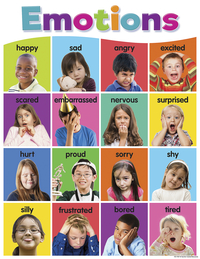 Teacher Created Resource Colorful Emotions Chart, Item Number 2098948