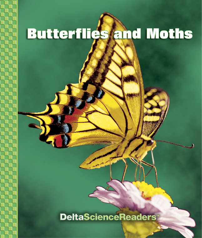 DSM Butterflies And Moths Collection, Item Number 2101440