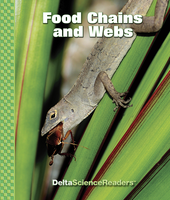 DSM Food Chains And Webs Collection, Item Number 2101442