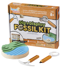 Image for Hand2Mind Dig and Display Fossil Kit, Grades 3 to 8 from School Specialty