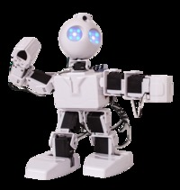 EZ-Robot JD Humanoid Robotics Kit, Item Number 2103881
