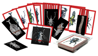 Image for Roylco Insect X-rays & Picture Cards from School Specialty