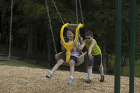 Ultra Play Inclusive Swing Seat Package, 2-5 Year Old, Natural Color Item Number, 2104595