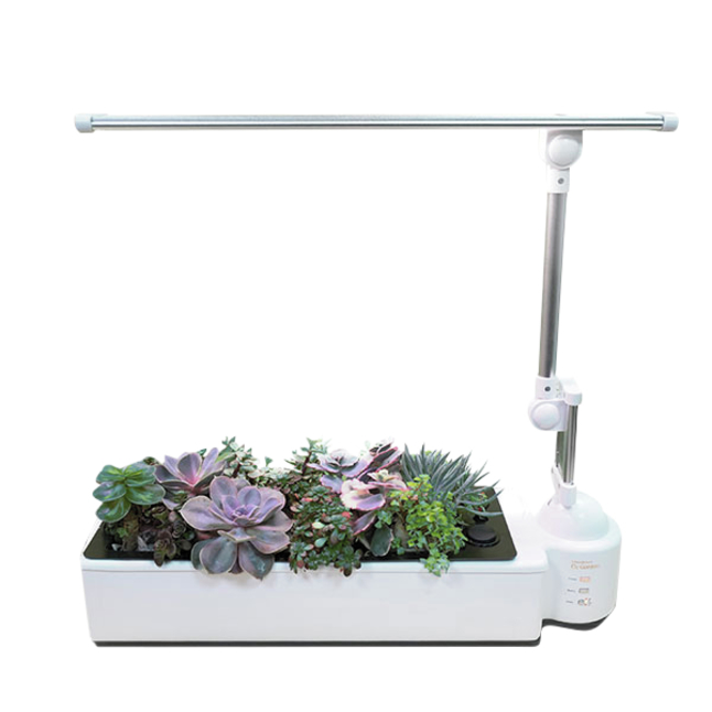 Image for OPCOM O2 Light Succulents Garden Hydroponic System from School Specialty