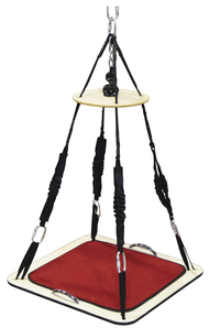 Image for TheraGym Multi-Purpose Platform Swing from School Specialty