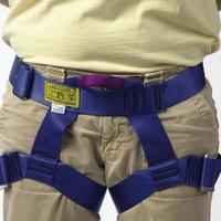 Image for FlagHouse Universal Harness, Standard, Blue from School Specialty