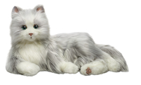 Image for Companion Pets Silver with White Mits Cat from School Specialty