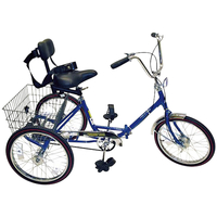 Image for FlagHouse Port-O-Trike from School Specialty
