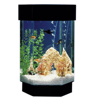Image for Hexagon Aquascape Aquarium, 8 Gallon, 12 x 14 x 21-1/2 Inches from School Specialty