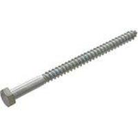 Image for 5/8 x 6 Inch Hex Hd Lag Screw Galv.For Leap Anchor from School Specialty