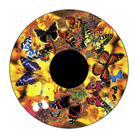 Image for Optikinetics Solar Effect Wheel, Butterflies Design from School Specialty