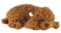 Image for Perfect Petzzz Toy Poodle from School Specialty