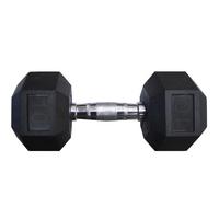 Image for Hex Rubber Dumbbells, 10 lb from School Specialty