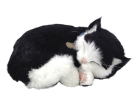 Image for Perfect Petzzz Black & White Shorthair Cat from School Specialty