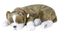 Image for Perfect Petzzz Pit Bull from School Specialty