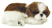 Image for Perfect Petzzz Shih Tzu from School Specialty