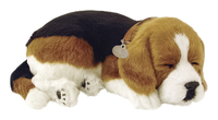 Image for Perfect Petzzz Beagle from School Specialty