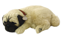 Image for Perfect Petzzz Pug from School Specialty