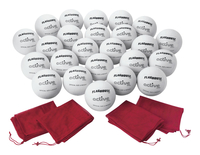 Image for FlagHouse Rubber Volleyballs, Super Set of 24 from School Specialty