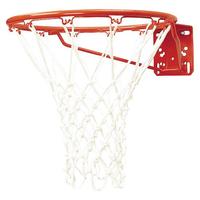 Standard Single Rim, Front Mount Basketball Goal 2124422