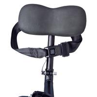 Image for LYRCA Back Support For Trikes from School Specialty