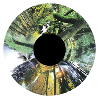 Image for Solar Effect Wheel, Forest from School Specialty