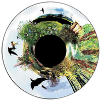 Image for Solar Effect Wheel, Wilderness from School Specialty