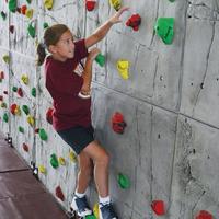 Image for Superior Rock 4 x 8 Feet Climbing Walls from School Specialty