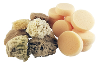Royal Brush Wool Sea Sponge Assortment, 2-1/2 in Dia X 1-1/4 in Thickness, 4-5 in in, Set of 36 Item Number 406619