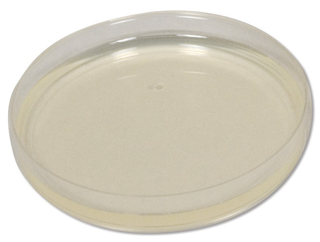 Frey Scientific Tryptic Soy Prepared Plated Agar - Pack of 100, Item Number 526789