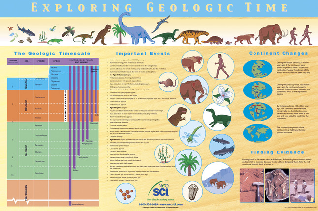 Fossils, Geologic Time, Item Number 35-1146
